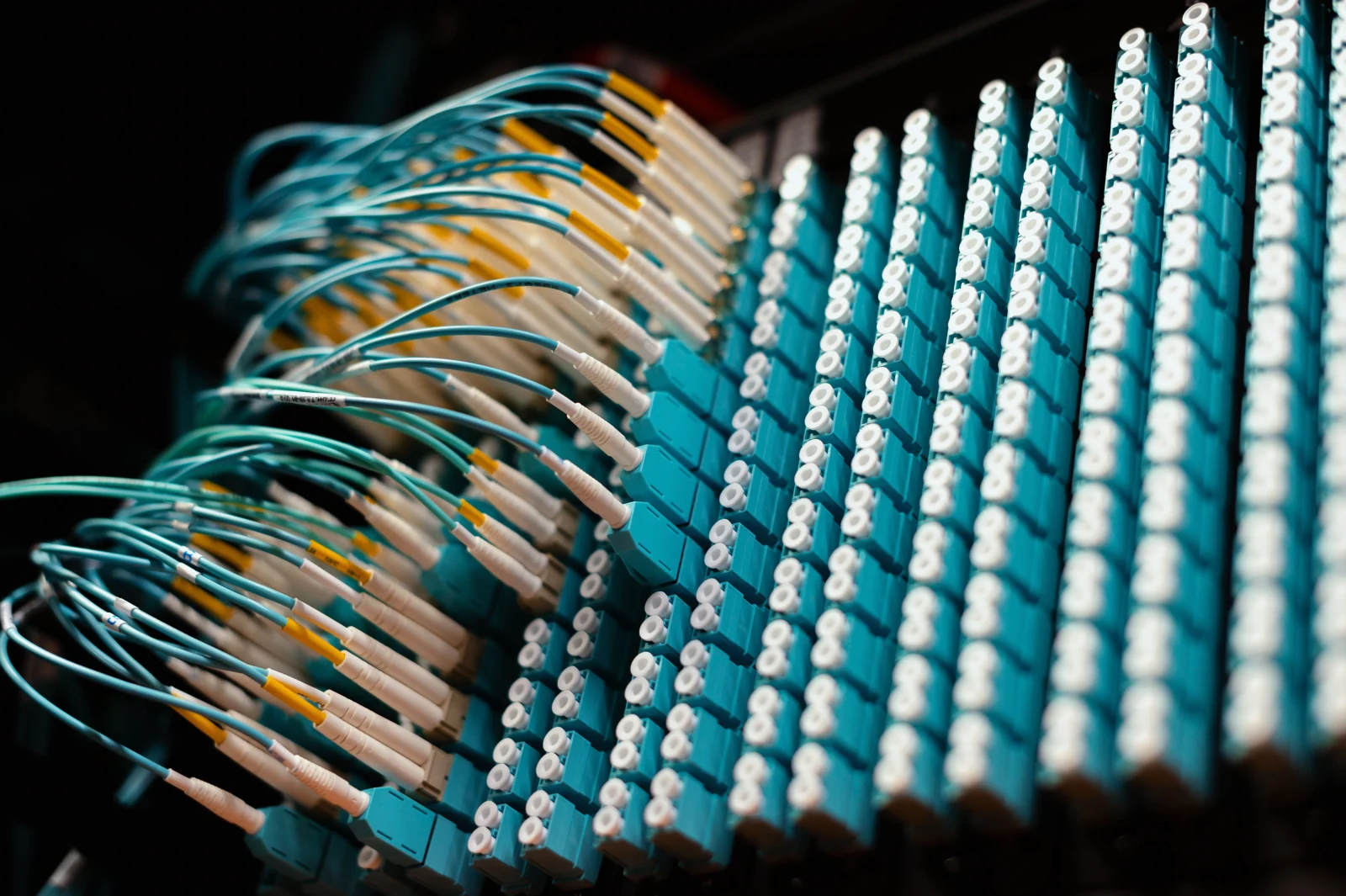 From below of long thin identical blue cables connected to small round electrical connectors