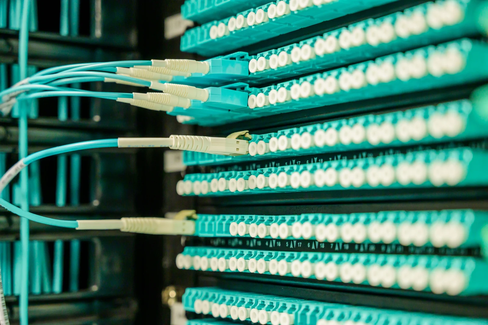 Networking cables plugged into a patch panel, showcasing data center connectivity. Networking cables plugged into a patch panel, showcasing data center connectivity.
