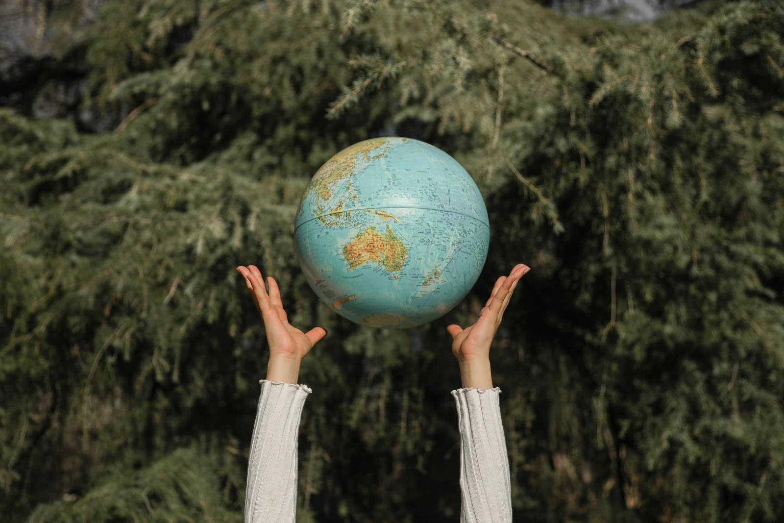 Hands raising a globe against a lush green tree backdrop, symbolizing environmental awareness.